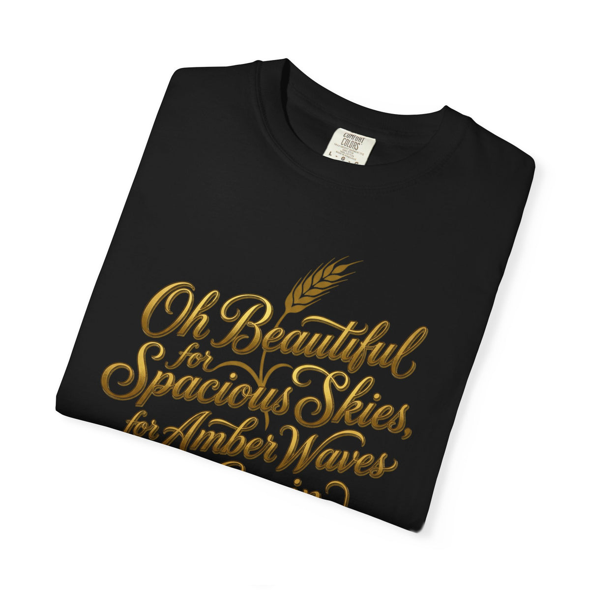Oh Beautiful For Spacious Skies T-Shirt — Vintage Patriotic Americana Tee