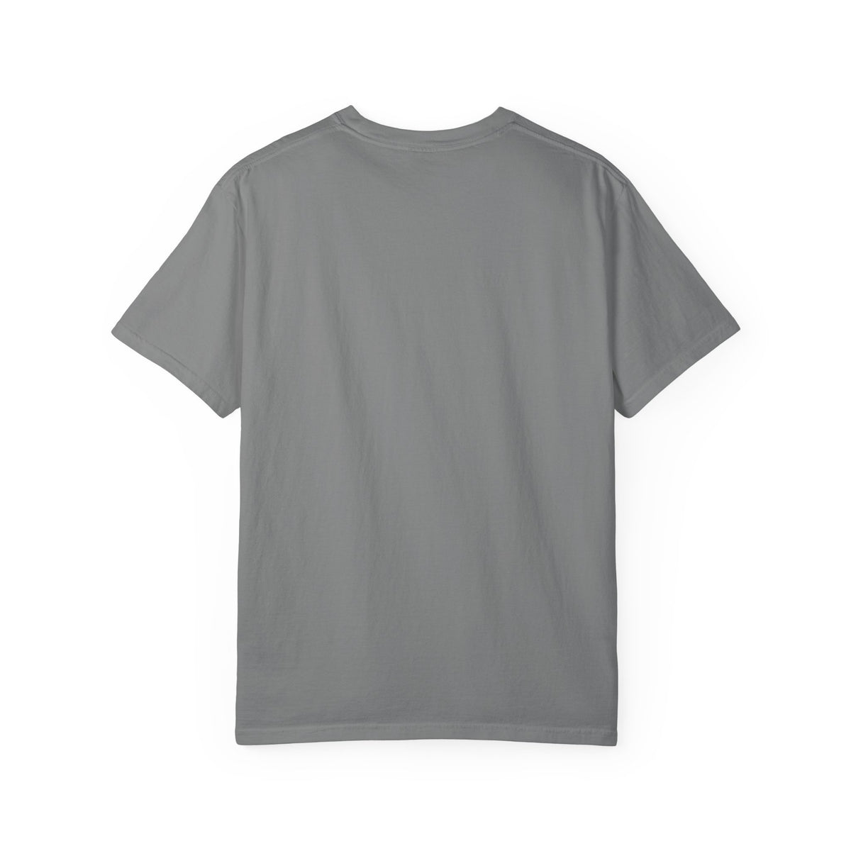 Desert Corgi Scenic T-Shirt — Corgi at the Canyon Graphic Tee