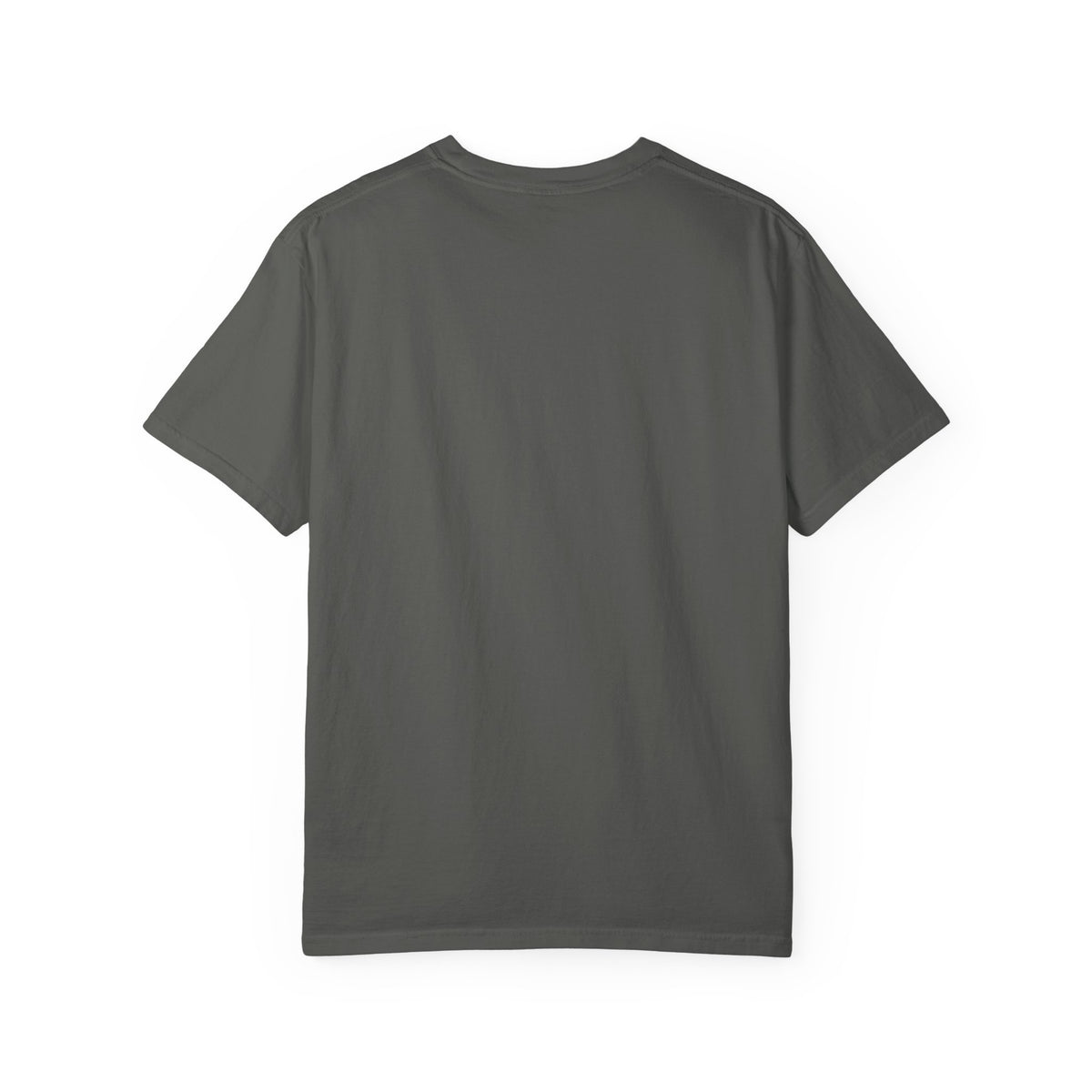 Desert Corgi Scenic T-Shirt — Corgi at the Canyon Graphic Tee